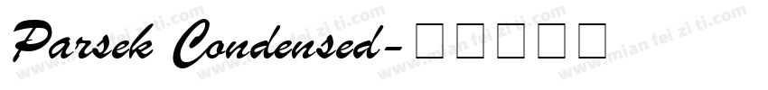 Parsek Condensed字体转换